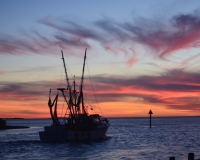Shrimp boat at sunset