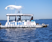 Google Bonnie the Bait Lady