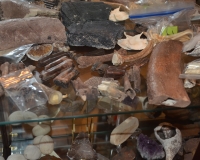 A few artifacts—some bones from the Ice Age